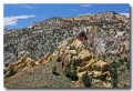 Cottonwood_18
