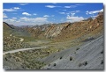 Cottonwood_19