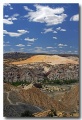 Cottonwood_22
