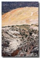 Cottonwood_24