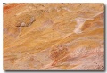 Cottonwood_25