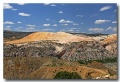 Cottonwood_28
