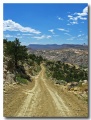 Cottonwood_30