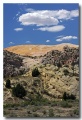 Cottonwood_31