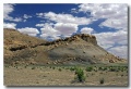 Cottonwood_32
