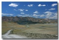 Cottonwood_33