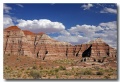 Cottonwood_36