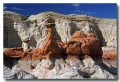 Cottonwood_37