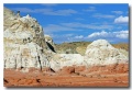 Cottonwood_39