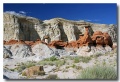 Cottonwood_40