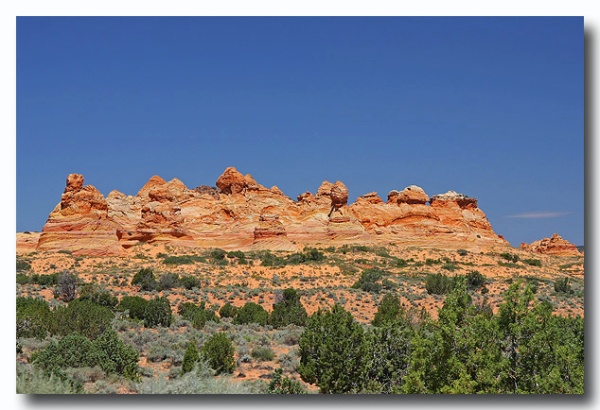 Cottonwood_Cove_01.jpg