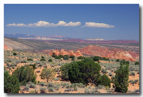 Cottonwood_Cove_02.jpg