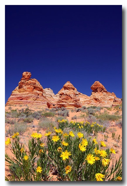 Cottonwood_Cove_03.jpg