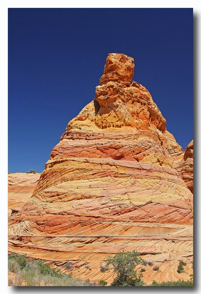 Cottonwood_Cove_05.jpg