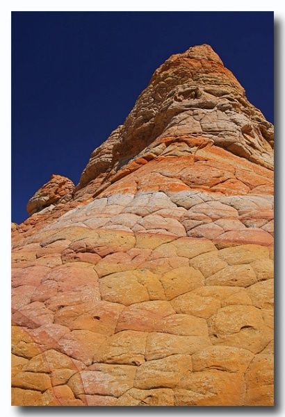 Cottonwood_Cove_10.jpg