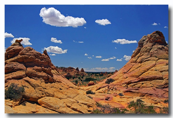 Cottonwood_Cove_13.jpg