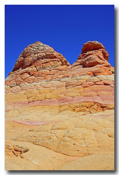 Cottonwood_Cove_16.jpg