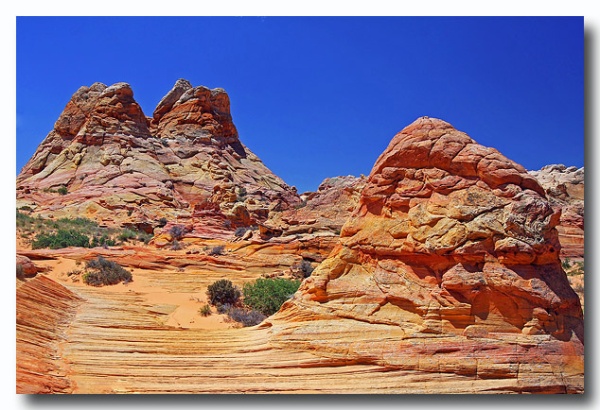 Cottonwood_Cove_18.jpg