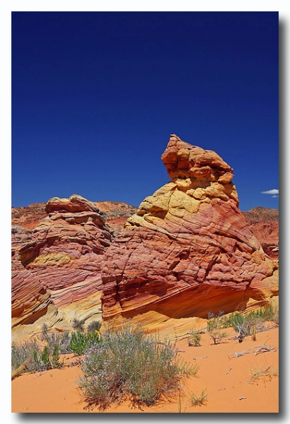 Cottonwood_Cove_21.jpg