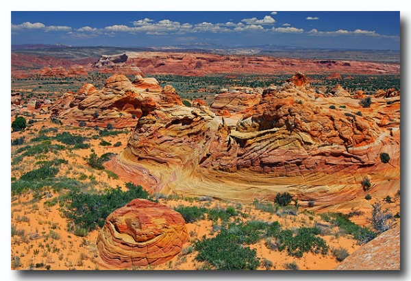 Cottonwood_Cove_25.jpg