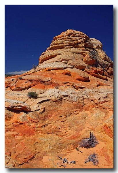 Cottonwood_Cove_28.jpg