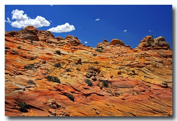 Cottonwood_Cove_30.jpg