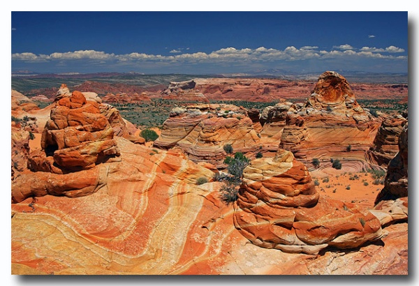 Cottonwood_Cove_33.jpg