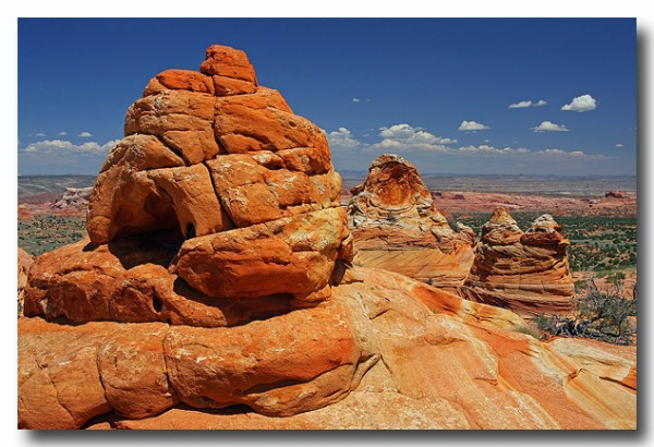 Cottonwood_Cove_36.jpg