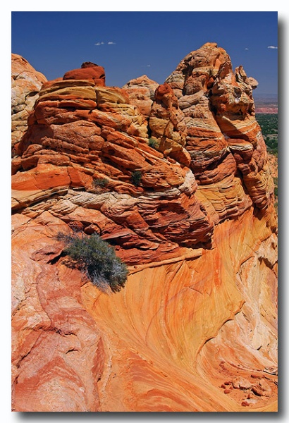 Cottonwood_Cove_37.jpg