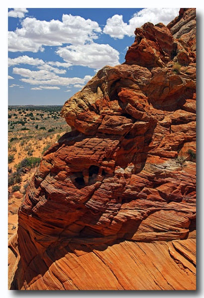 Cottonwood_Cove_38.jpg
