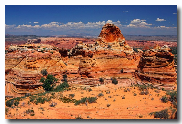 Cottonwood_Cove_39.jpg