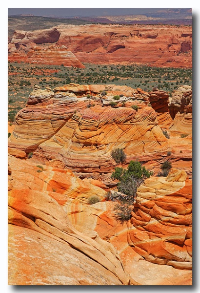 Cottonwood_Cove_44.jpg