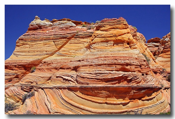 Cottonwood_Cove_47.jpg
