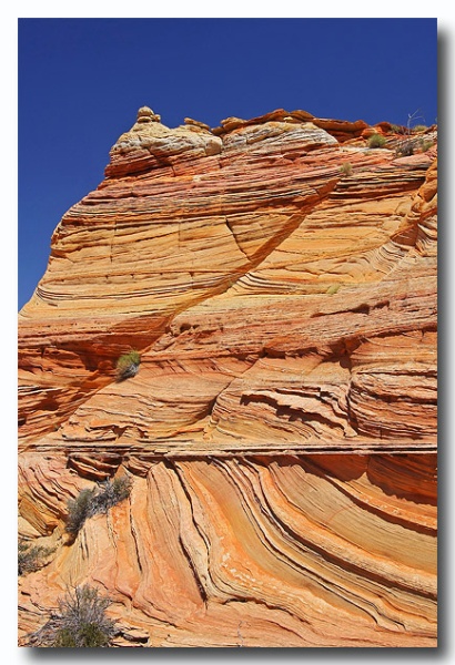 Cottonwood_Cove_48.jpg