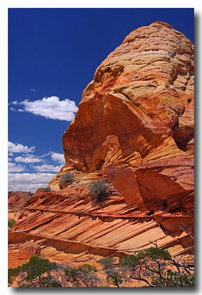 Cottonwood_Cove_49.jpg