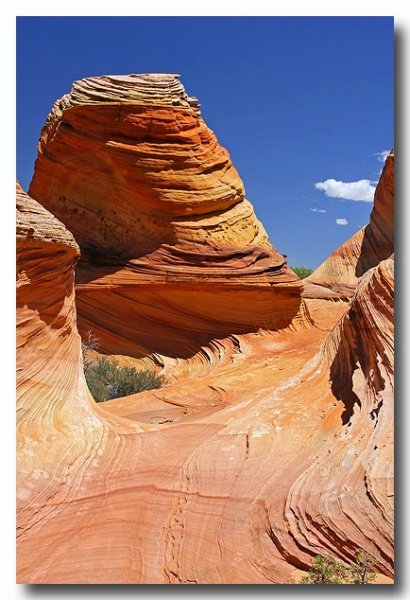Cottonwood_Cove_52.jpg
