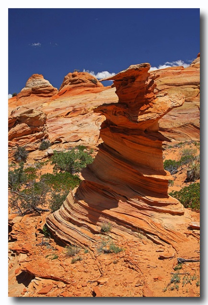 Cottonwood_Cove_58.jpg