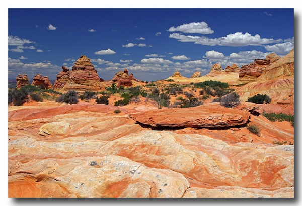 Cottonwood_Cove_64.jpg