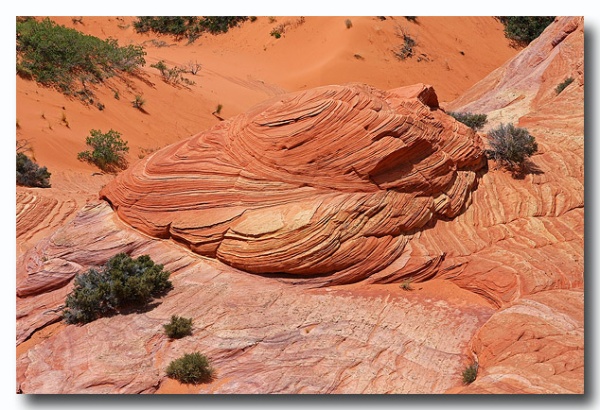 Cottonwood_Cove_66.jpg