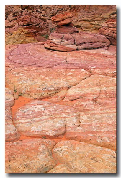 Cottonwood_Cove_67.jpg