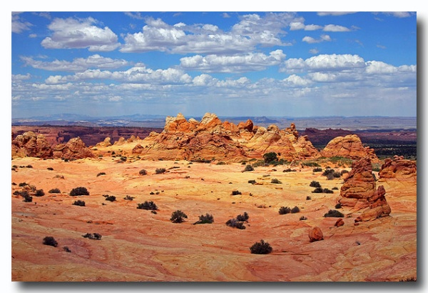 Cottonwood_Cove_68.jpg