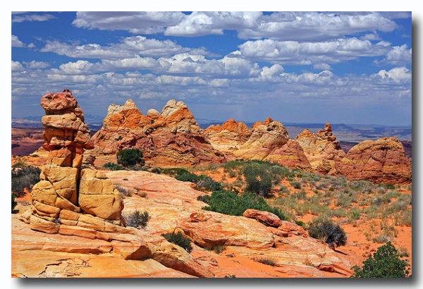 Cottonwood_Cove_70.jpg