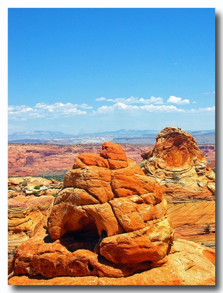 Cottonwood_Cove_75.jpg