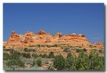 Cottonwood_Cove_01