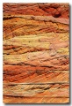 Cottonwood_Cove_06