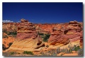 Cottonwood_Cove_20