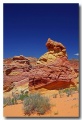 Cottonwood_Cove_21