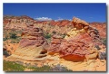 Cottonwood_Cove_22