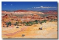 Cottonwood_Cove_23