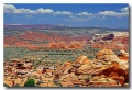Cottonwood_Cove_26